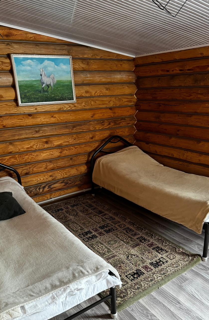 Бревенчатый дом (номер)