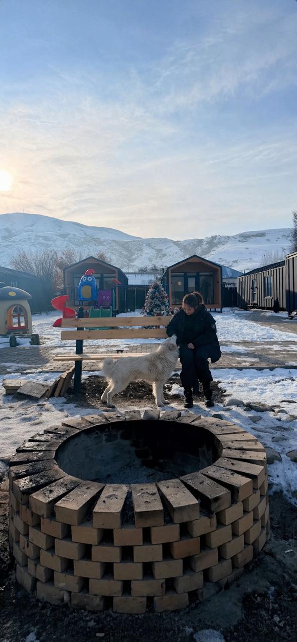 Большой барн (до 4 человек)